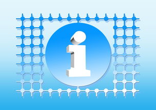 从芯片到云端 数字时代的数据处理与存储支持服务网络