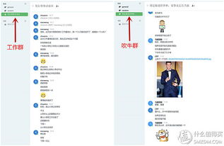 原创新人省小钱办大事 群晖DS216 II网络存储NAS服务器搭建数据中心靠谱吗？